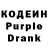Кодеин Purple Drank Stevo Guig