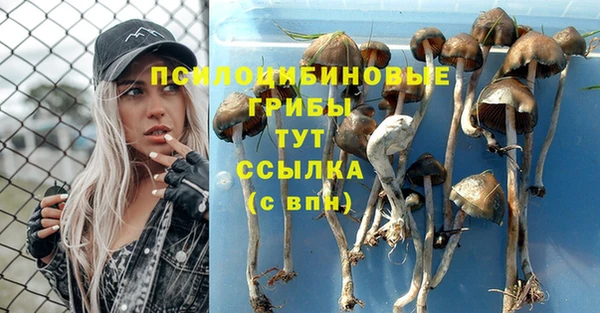 марки nbome Балабаново