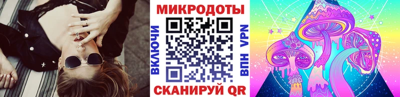 Псилоцибиновые грибы Psilocybine cubensis  Звенигово 