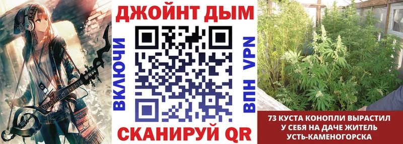 Канабис семена  гидра tor  Звенигово 